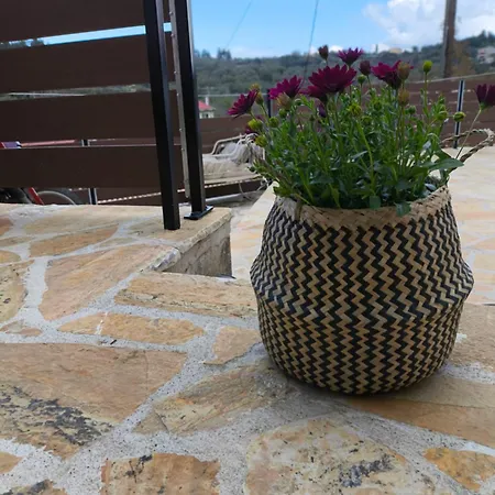 Stone Deluxe Lefkada 度假居 Lazaráta